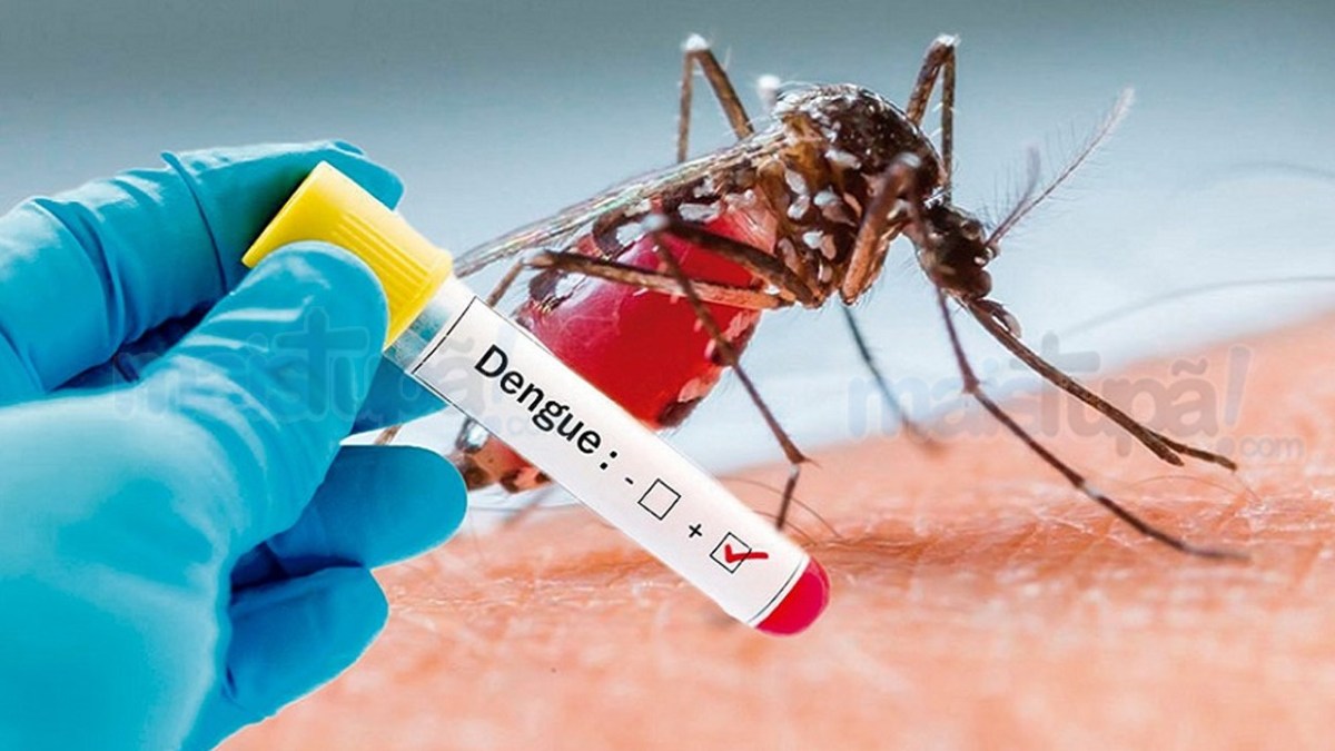 Cuidados contra o Aedes Aegypti