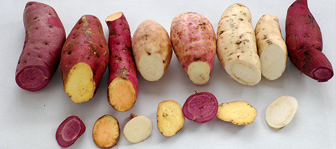 Multicolorida: Conheça os benefícios da batata-doce - Alimentação - Institucional