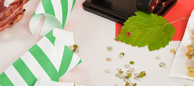 Como fazer confete sustentável ecológico