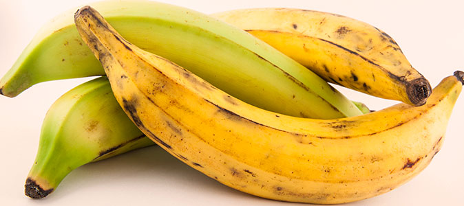 Imagem de bananas da terra