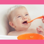 Alimentação Infantil de 6 a 12 meses