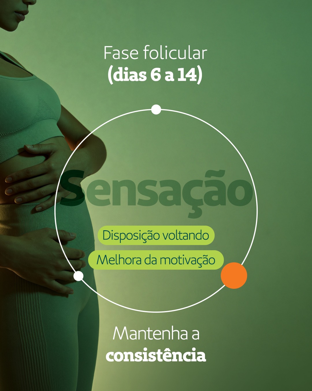 Fase 2