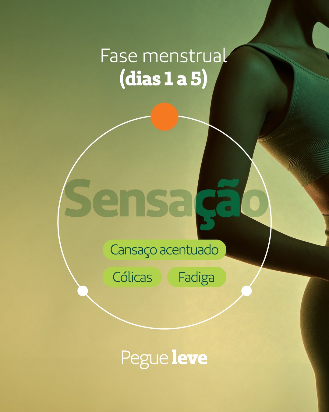 Fase 1