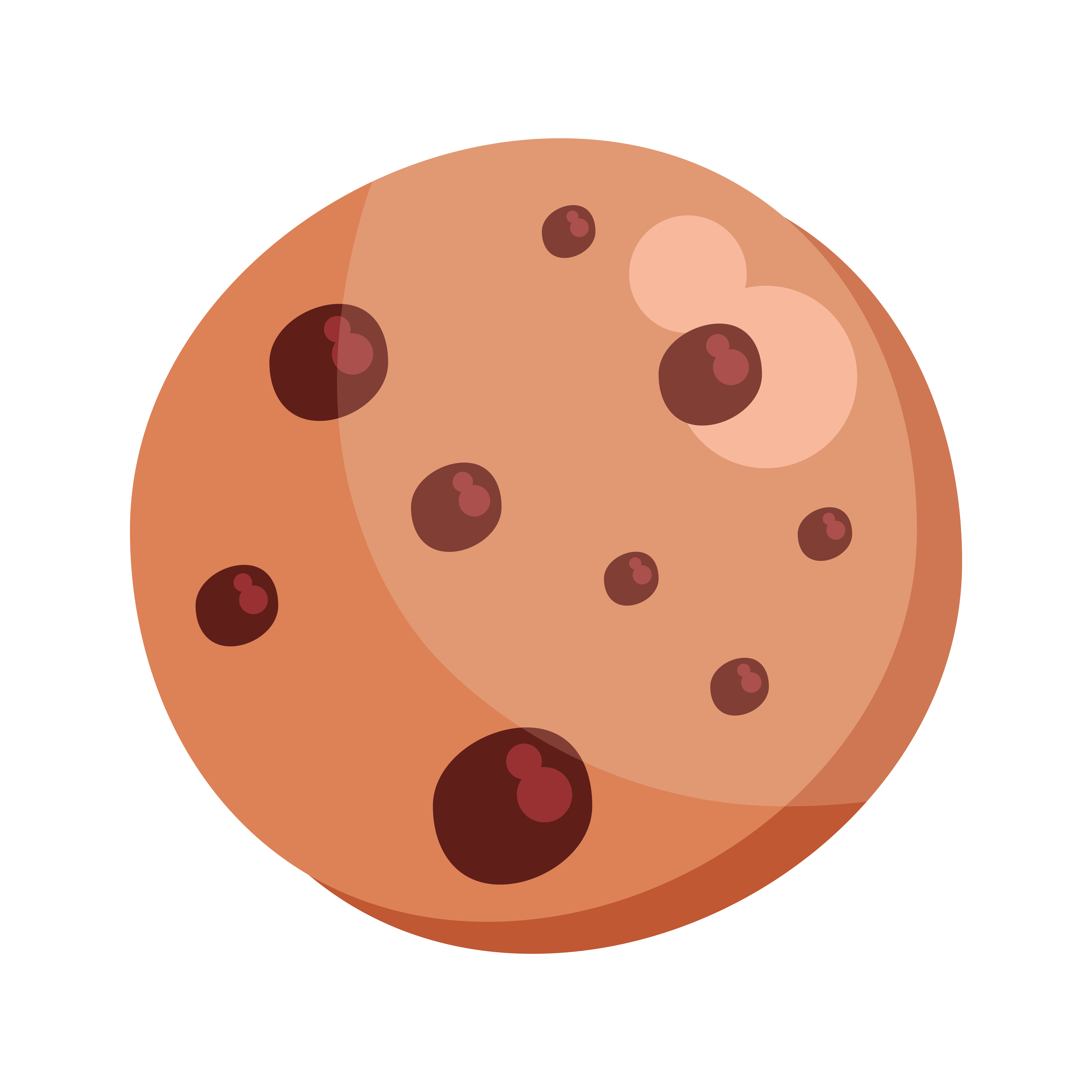 Política de Cookies