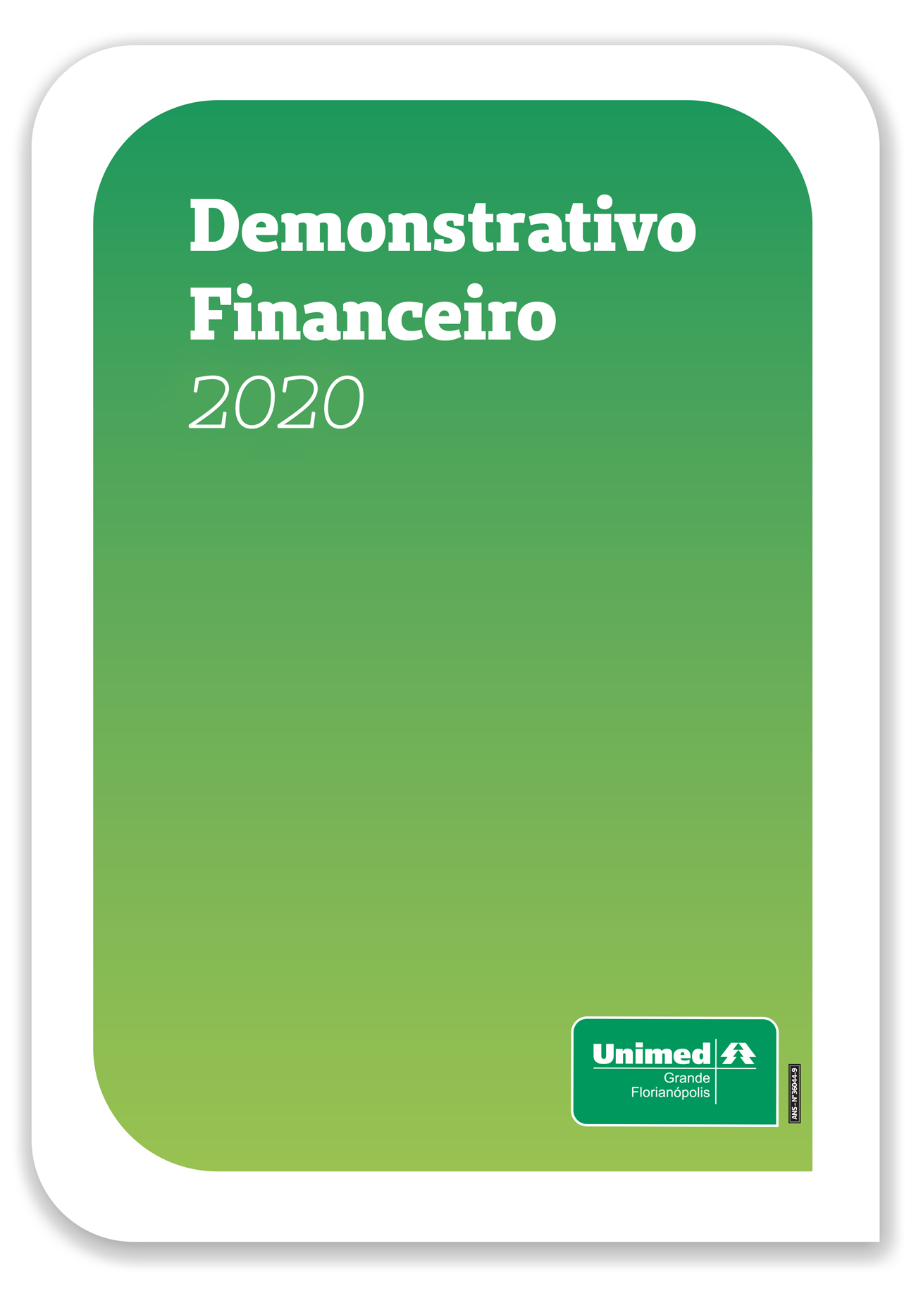 #Paratodosverem: capa do demonstrativo financeiro de 2020