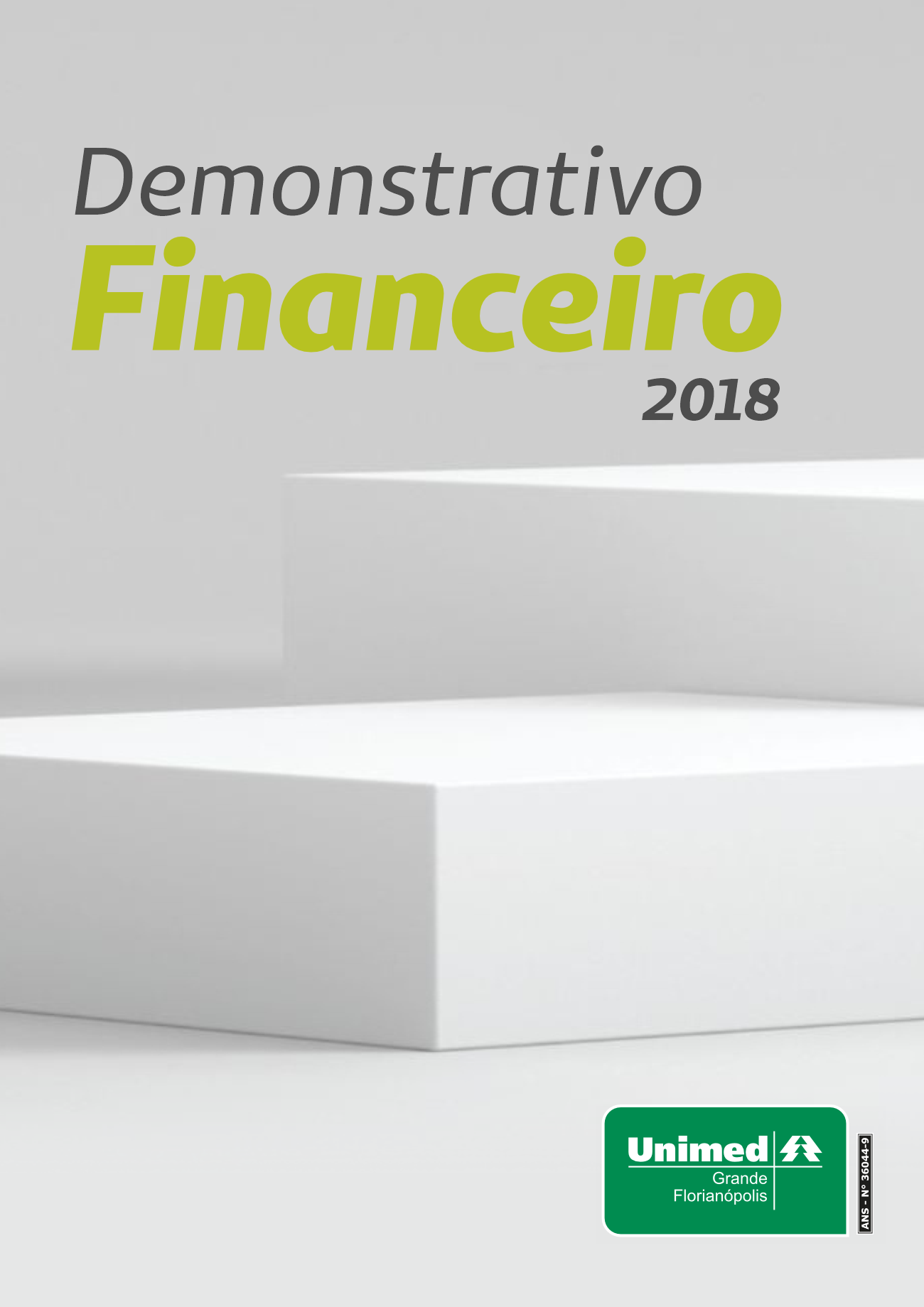 #Paratodosverem: capa do demonstrativo financeiro de 2018