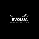 Evolua Estratégia Digital