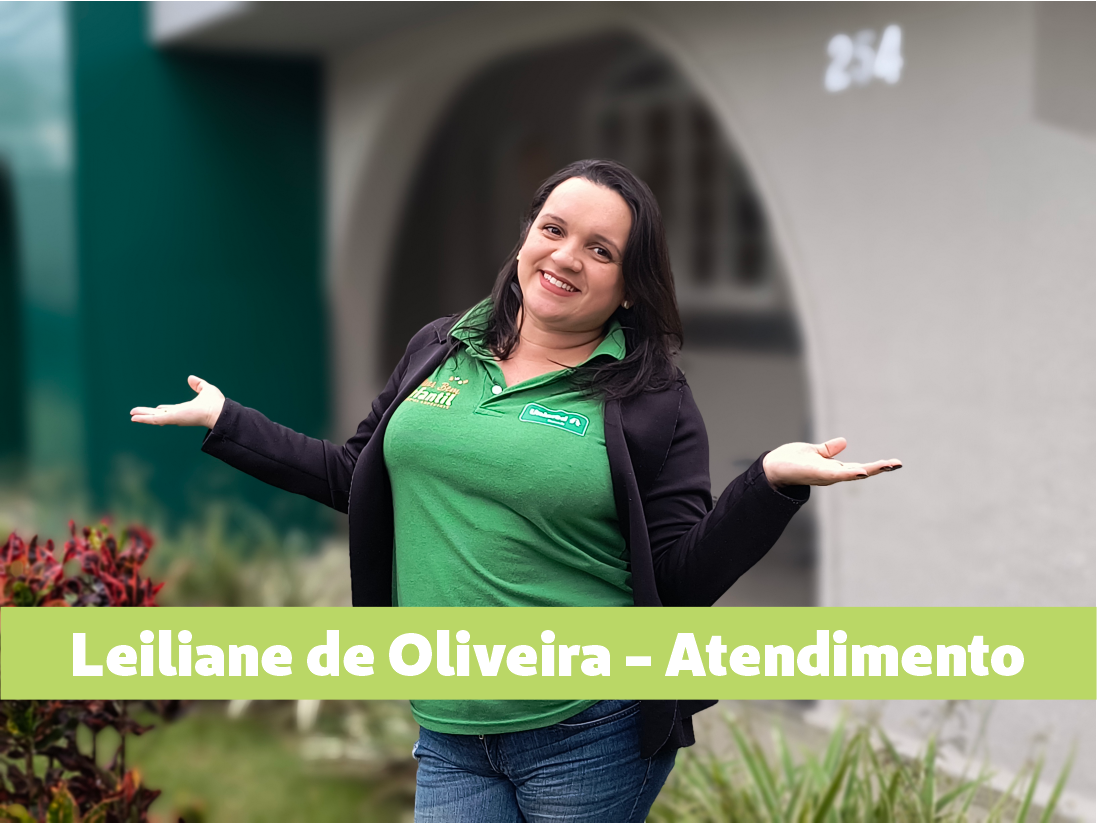 Descrição da imagem