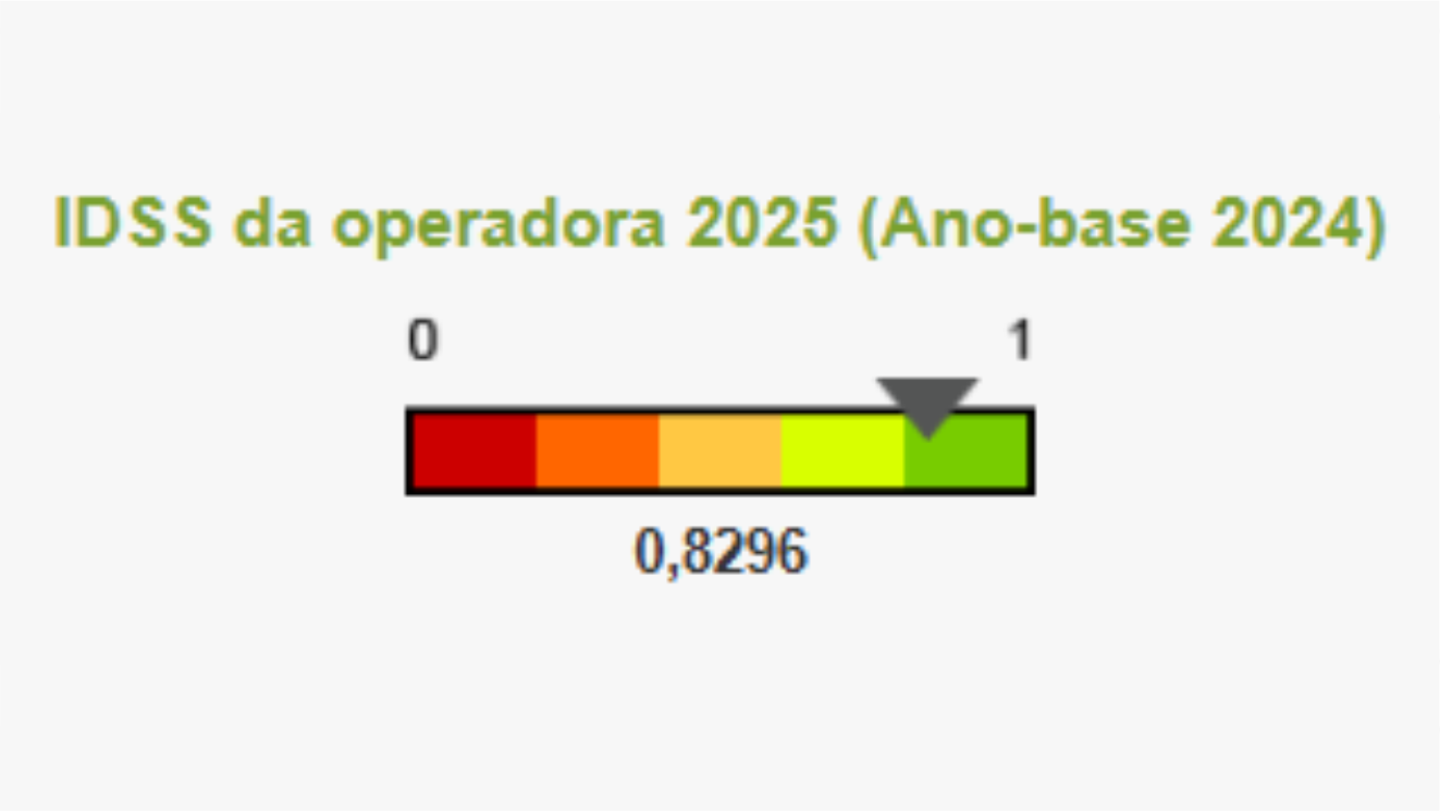 IDSS 2025